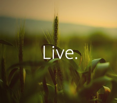 Live
